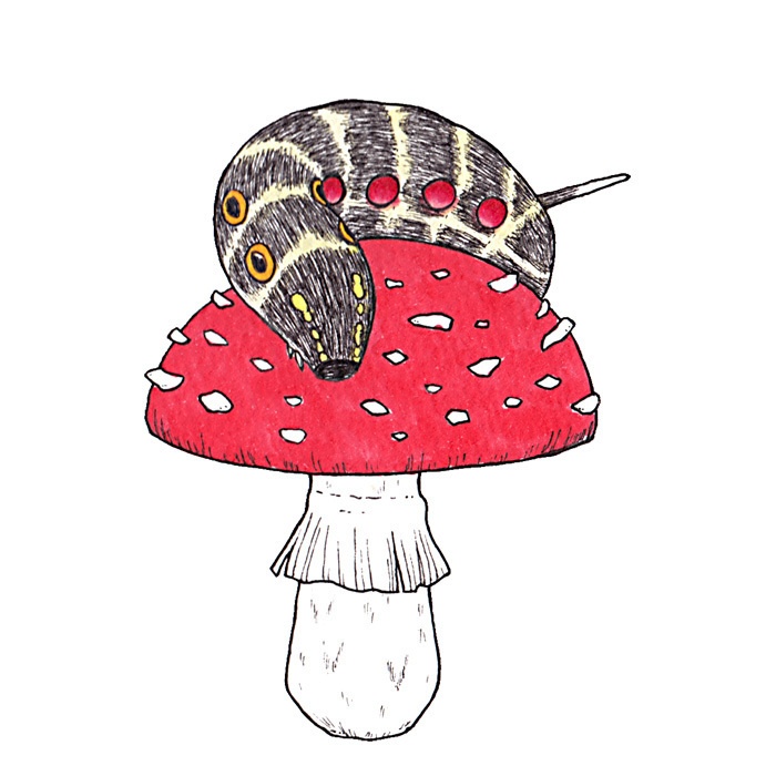 いもむしアクキー