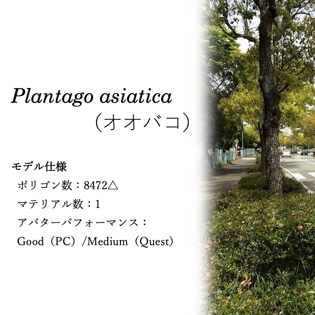 【無料】オオバコ【草アバター】【オリジナル3Dモデル】𝙋𝙡𝙖𝙣𝙩𝙖𝙜𝙤 𝙖𝙨𝙞𝙖𝙩𝙞𝙘𝙖