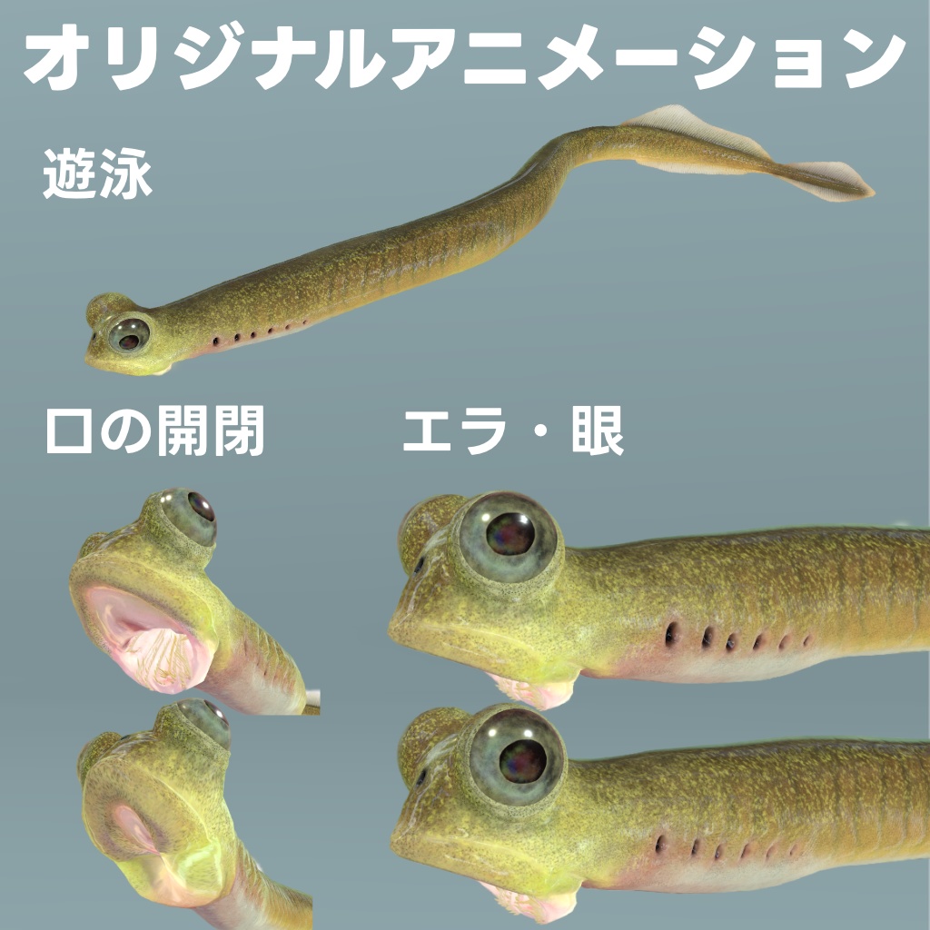 【オリジナル3Dモデル】クリダグナサス(Clydagnathus)コノドント