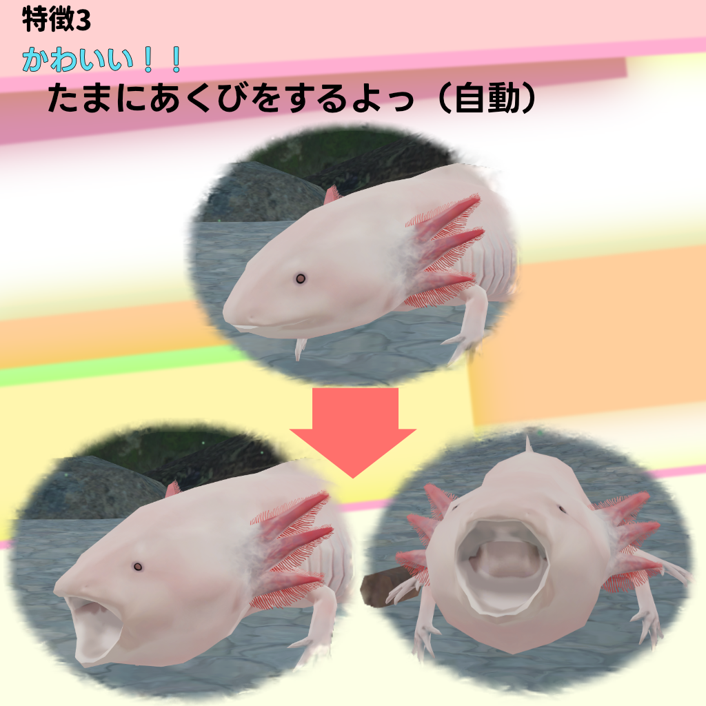 無料】【3Dモデル】ウーパールーパー【VRChat対応】