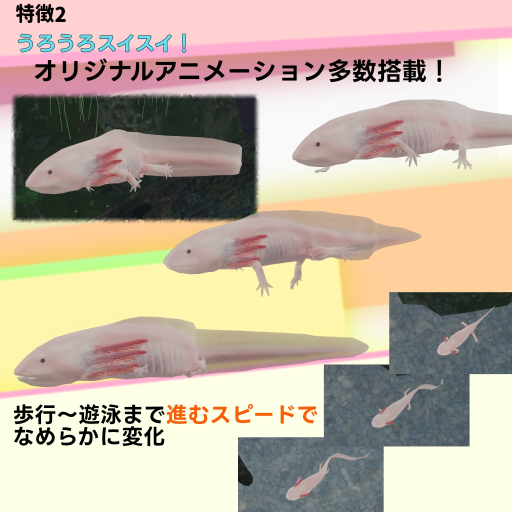 【無料】【3Dモデル】ウーパールーパー【VRChat・cluster対応】