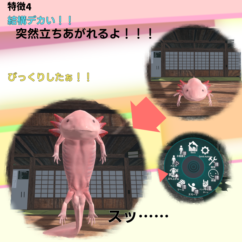 無料】【3Dモデル】ウーパールーパー【VRChat対応】