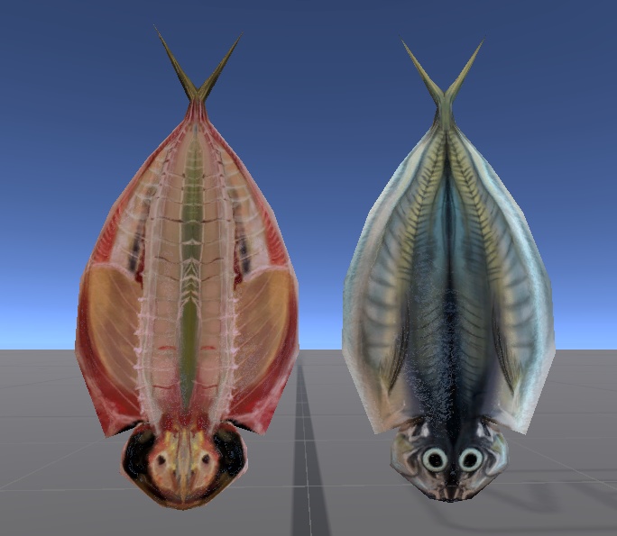 まぐろのあたまとアジの開き　マグロ and アジ