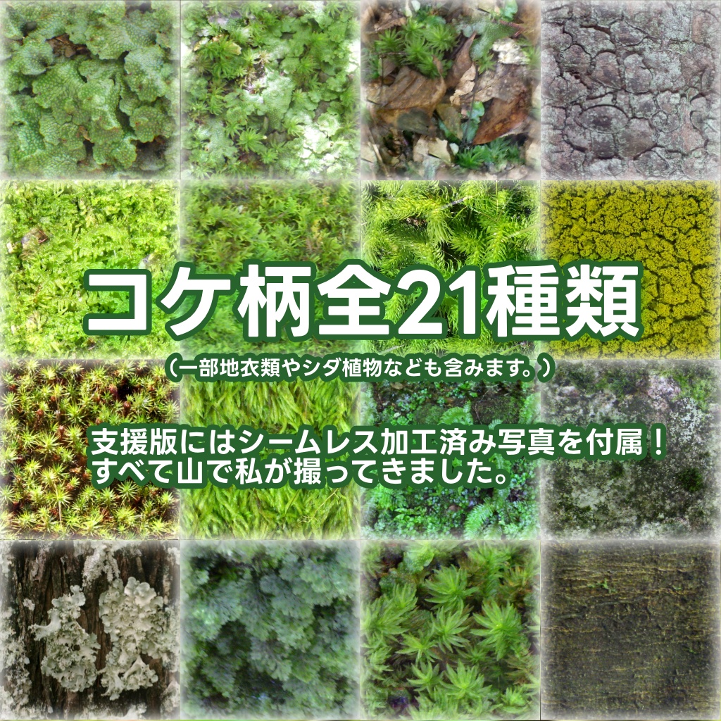 【無料】Akyo Moss -コケAkyo-