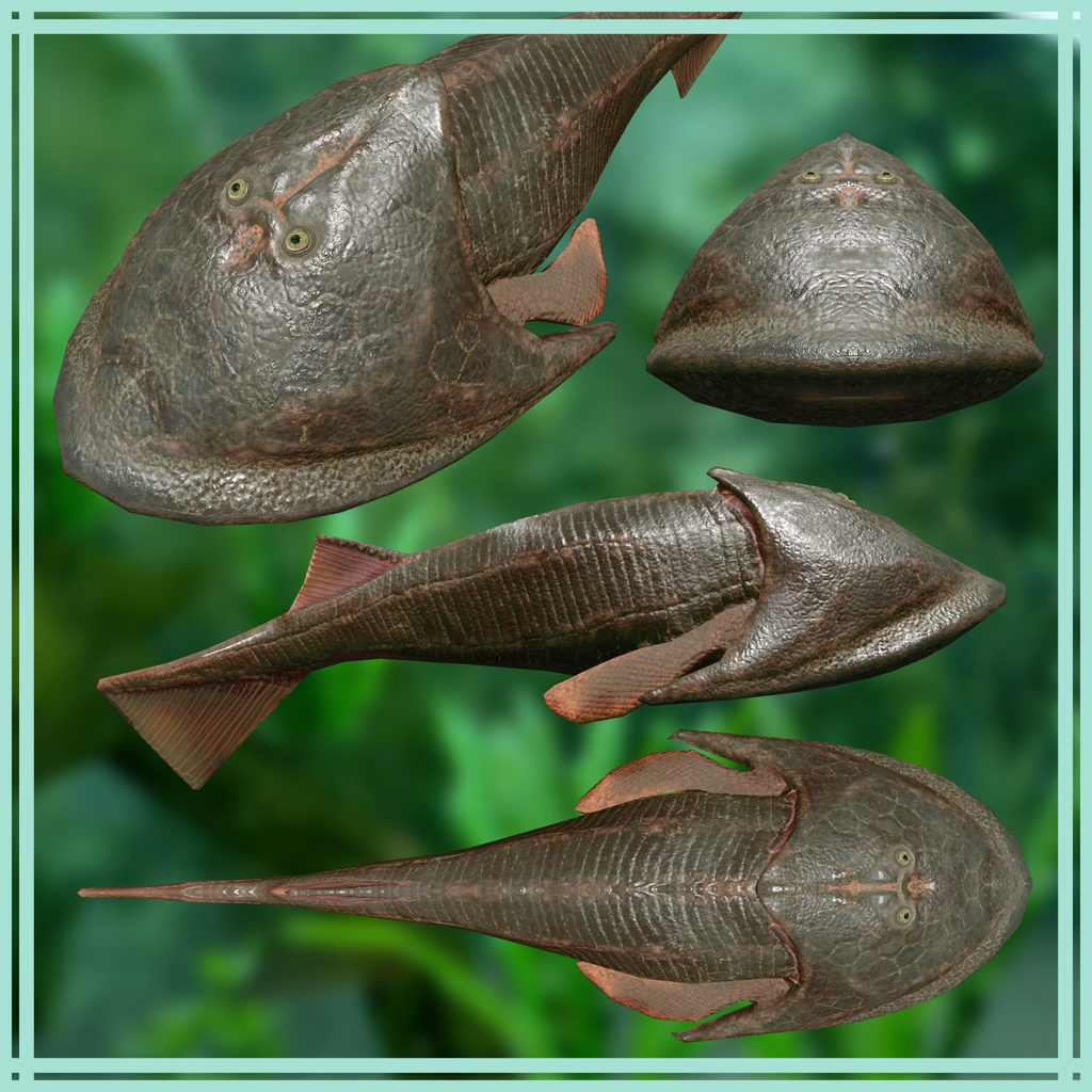 【オリジナル3Dモデル】ケファラスピス (Cephalaspis)