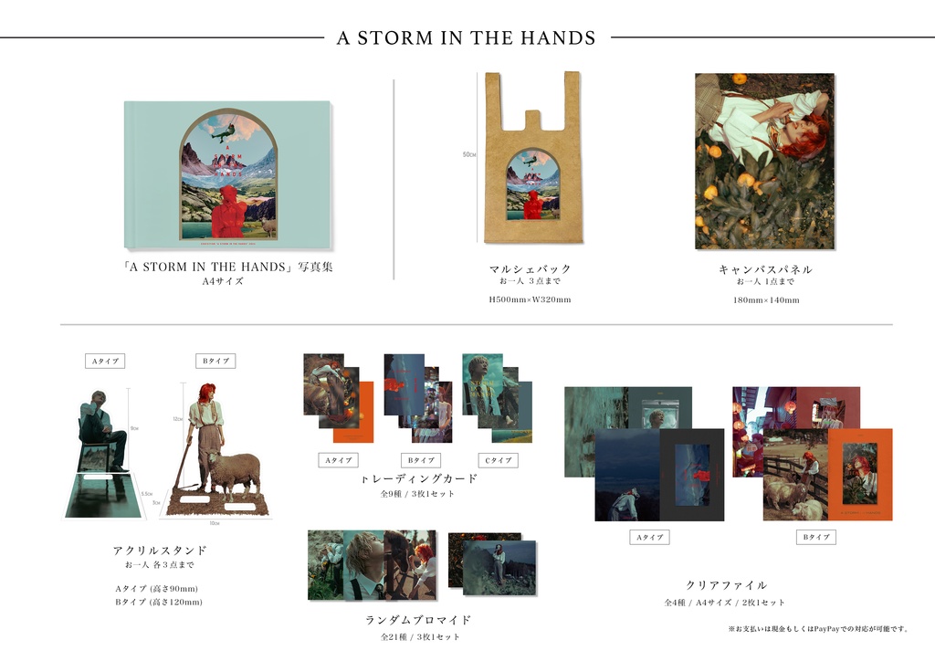 展示A STORM IN THE HANDS