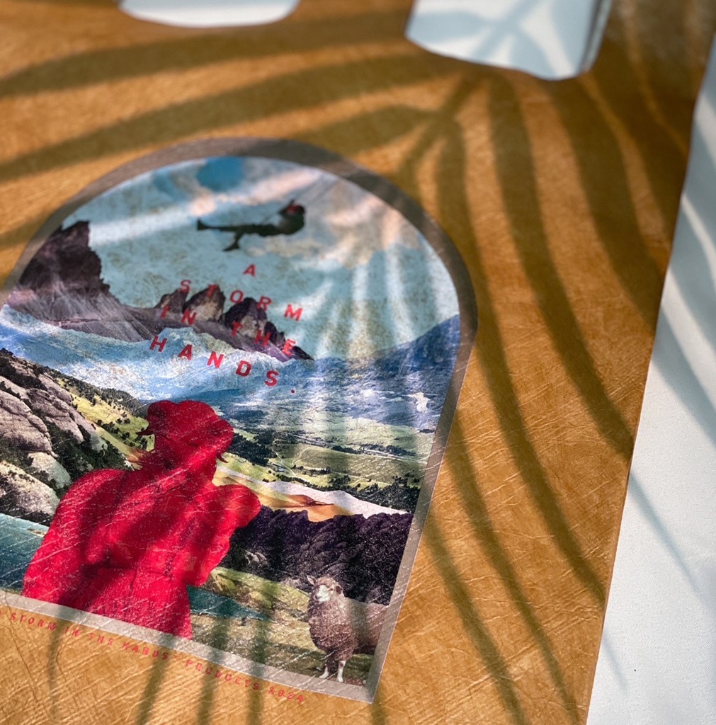 展示A STORM IN THE HANDS