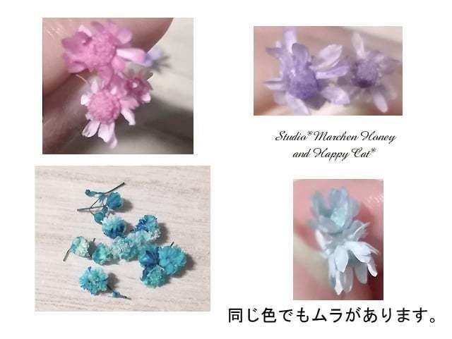 ★作品について