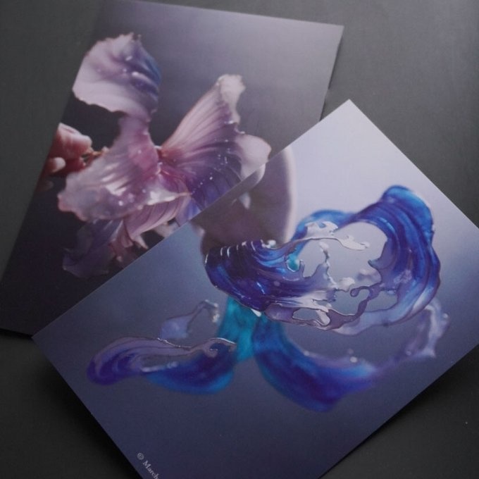 会員制応援システム【のほほんネコさんくらぶ】年間申込