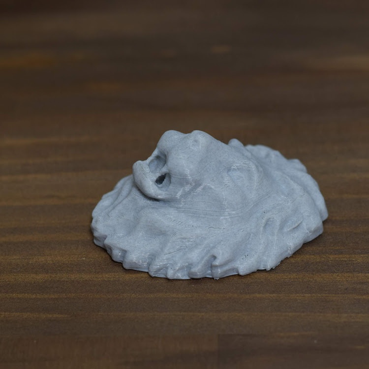 ライオン ディスペンサーヘッド