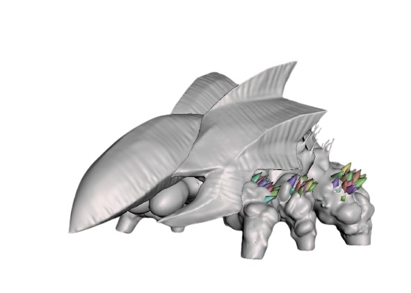 1/700BETA(200体セット)