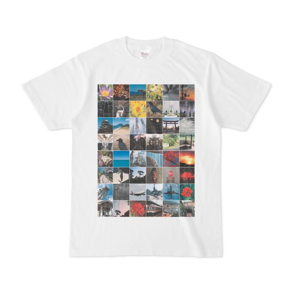 シンプルデザインTシャツ コモンズTシャツ