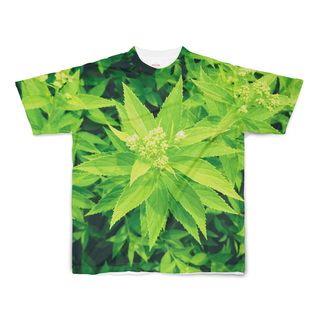 Tシャツ フルグラフィック 医療大麻(偽)