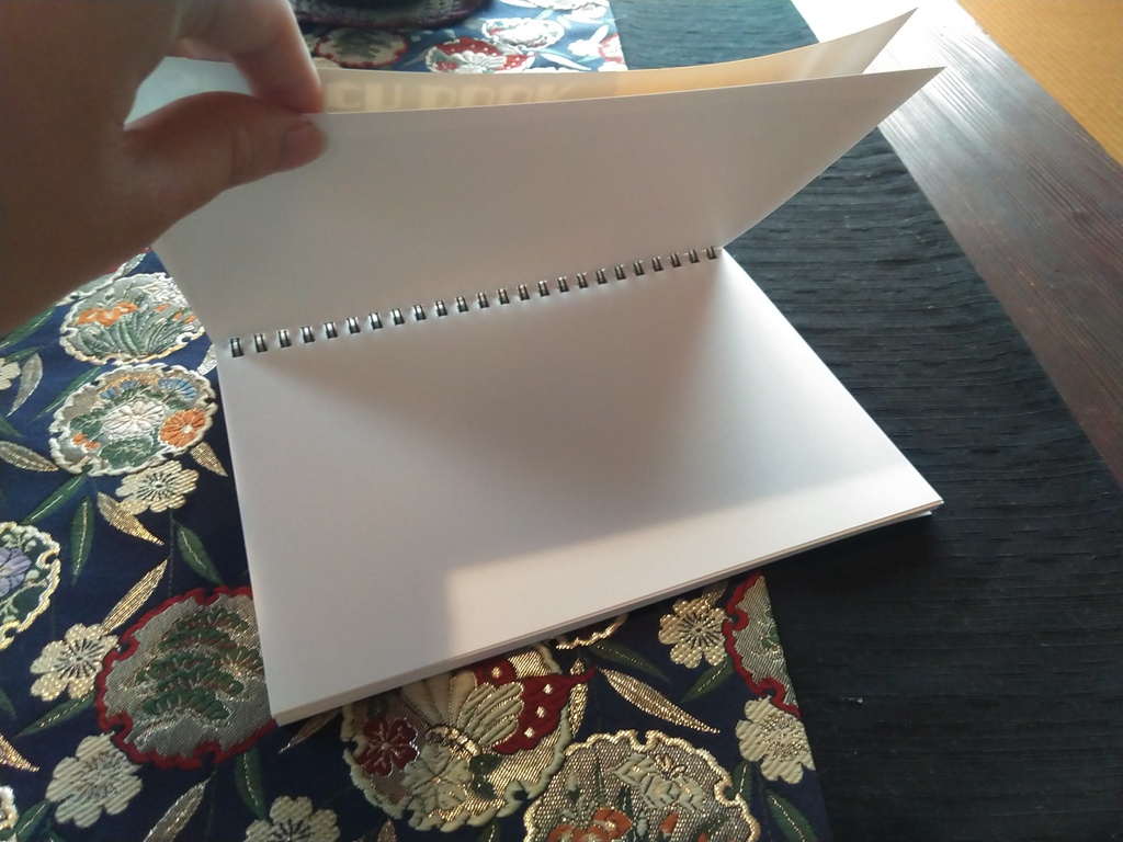 在庫少【魔法世界の受付嬢になりたいです】スケッチブック