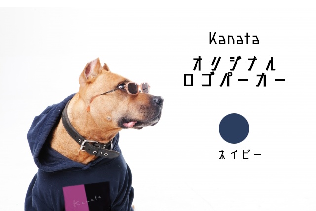 【数量限定】宙の旅スペシャルセット