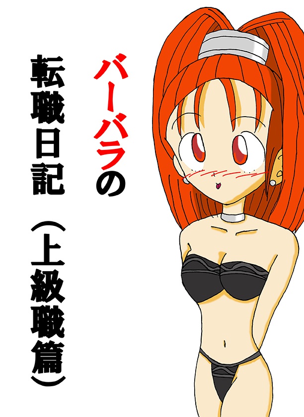 バーバラの転職日記（上級職篇）