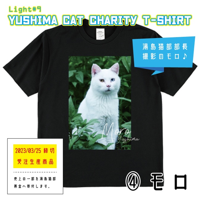 湯島猫チャリティTシャツ④モロ