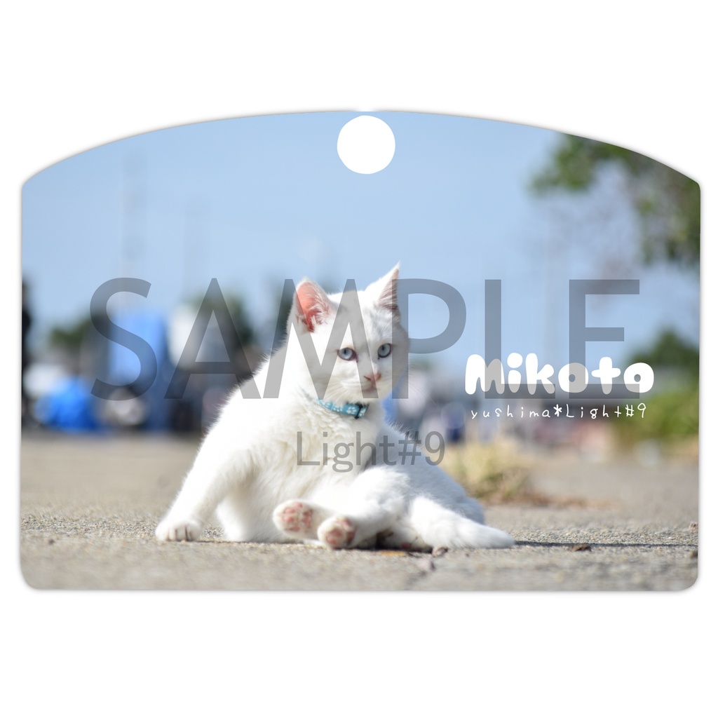 湯島猫パスケース