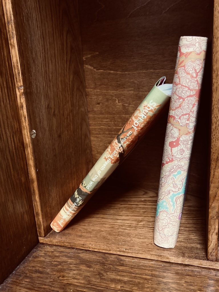 Shuki of Breath of the Wild