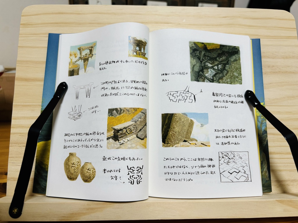 Shuki of Tears of the kingdom 01 : 日本語