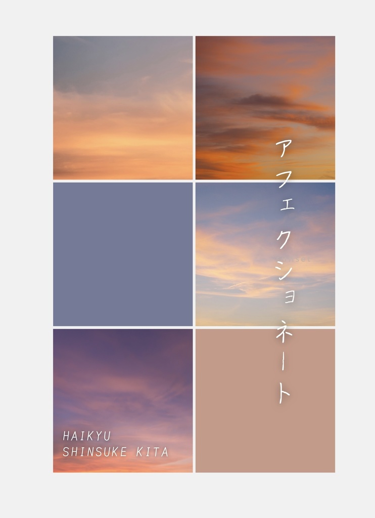 アフェクショネート【北信介夢本】
