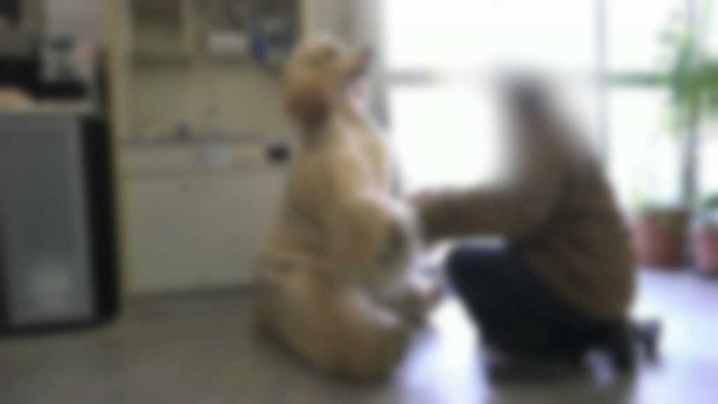 【オフショット】プーちゃんのお迎え・猛特訓編