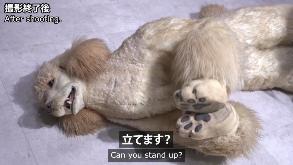 【オフショット】プーちゃんのお迎え・猛特訓編