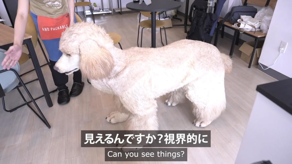 【オフショット】ドッグトレーナー編・ライブ配信