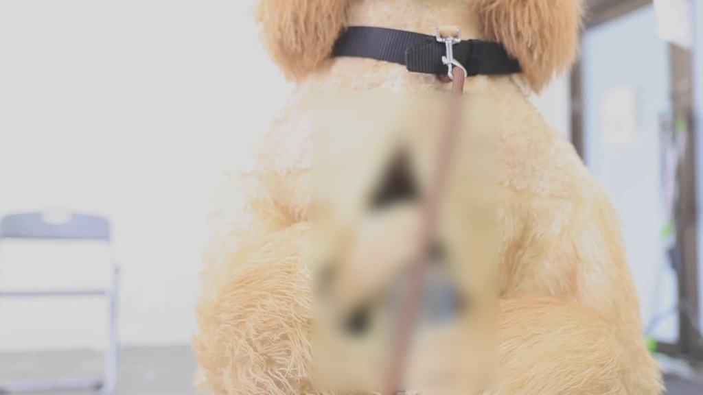 【オフショット】健康器具PR編・取材散歩編・ライブ配信