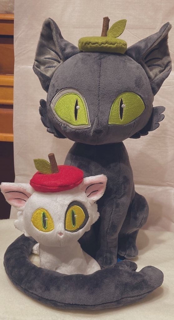 のせっこお帽子