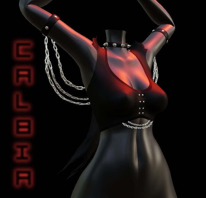 "Unsheathed" Top & Harnesss