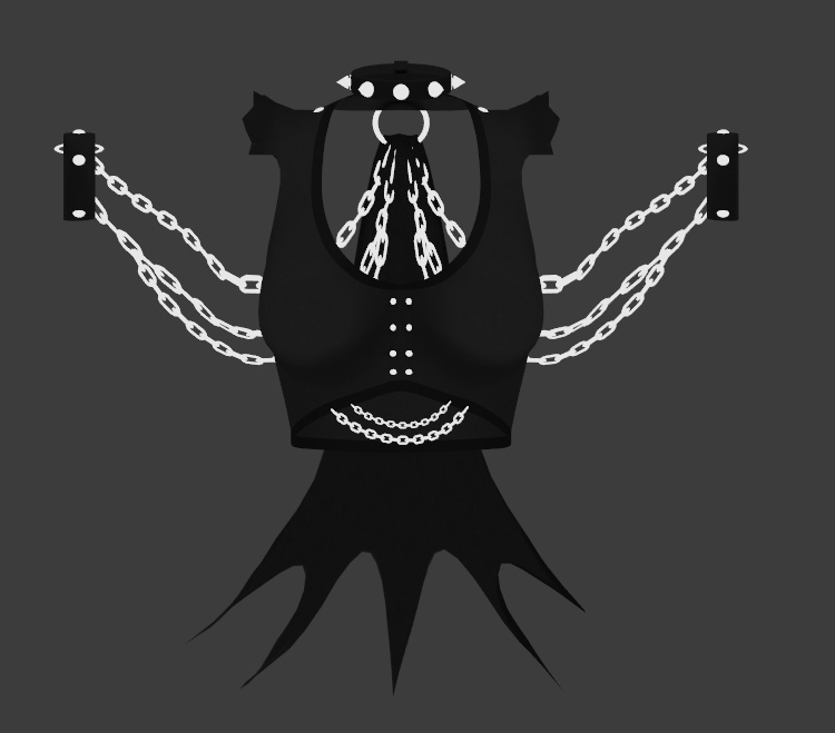 "Unsheathed" Top & Harnesss