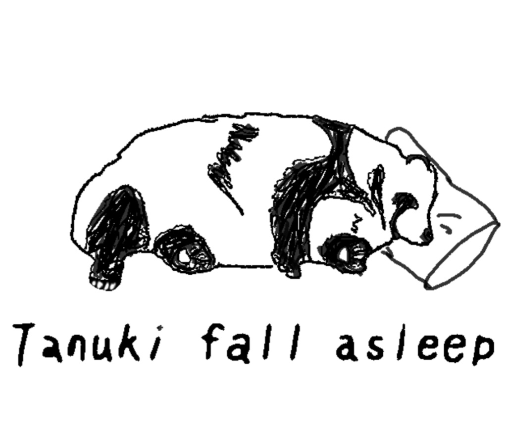 Tanuki fall asleep Tシャツ