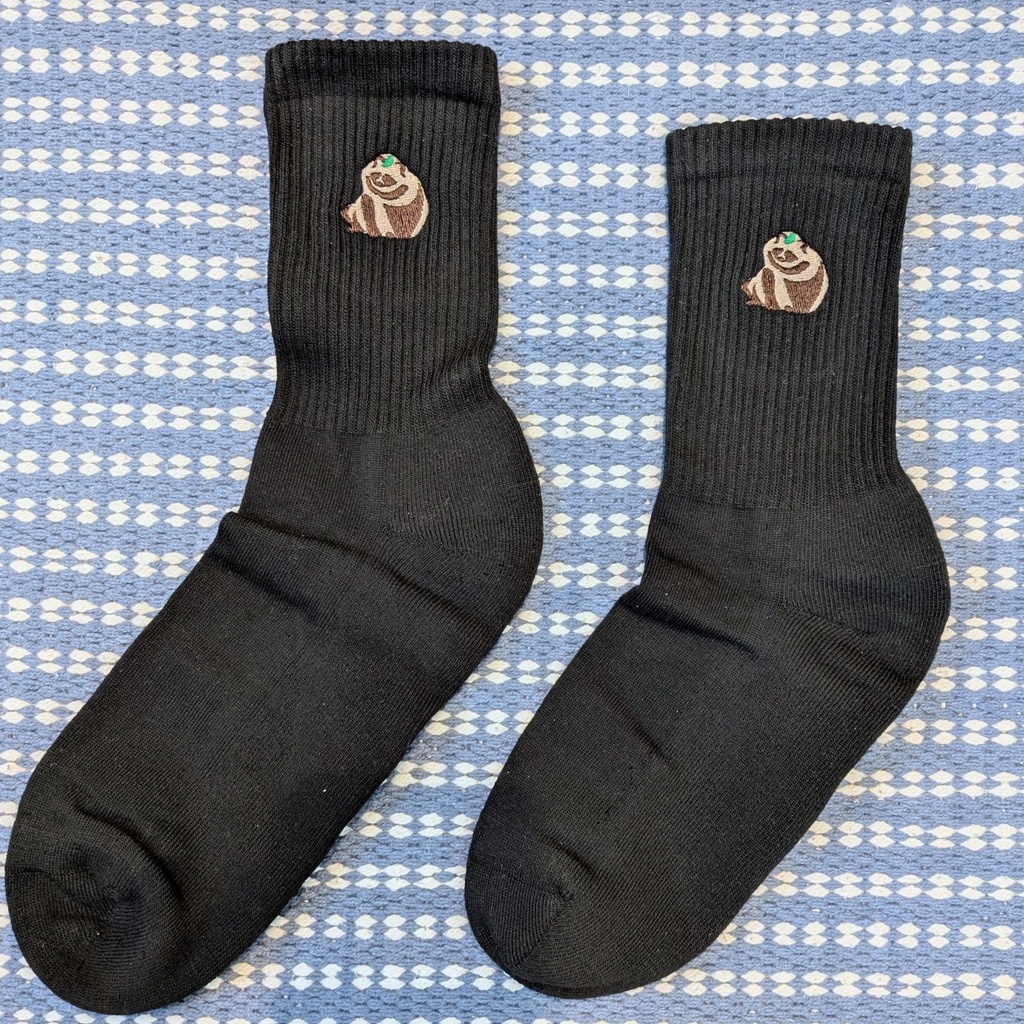 たぬ座りのワンポイント靴下