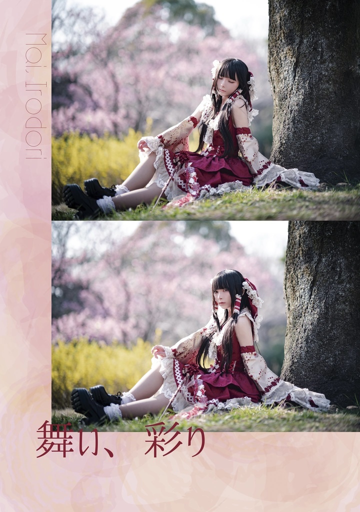 舞い、彩り（かもさん写真集）