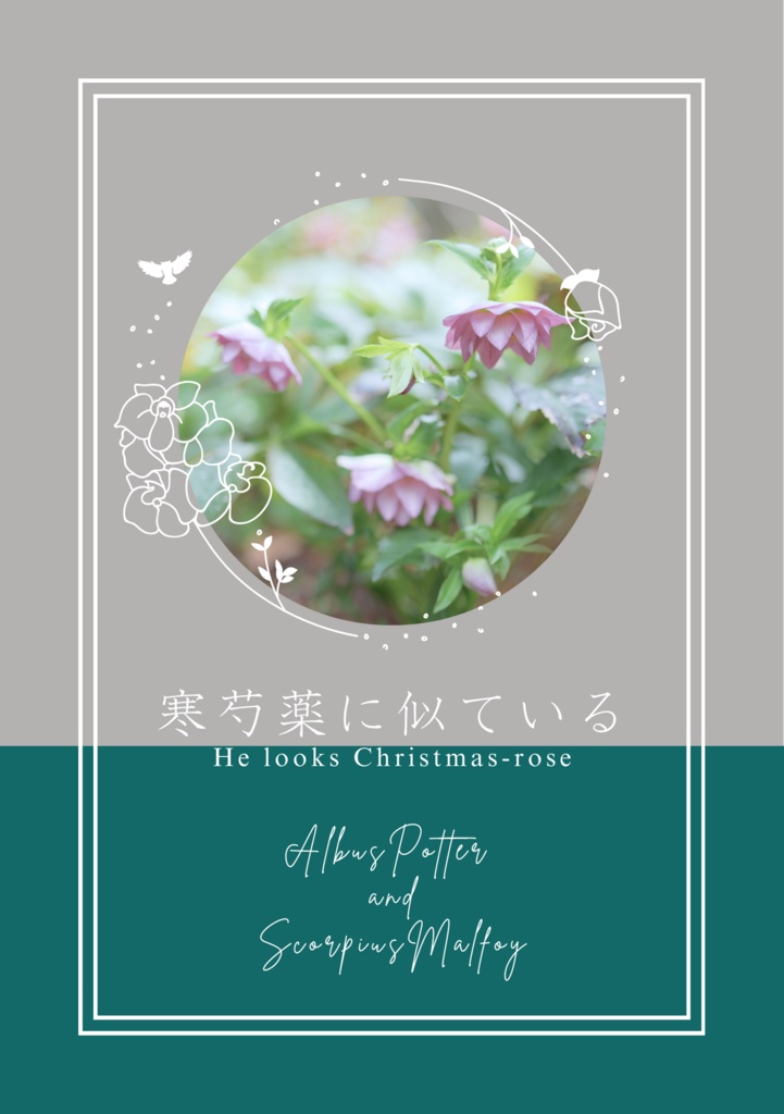 寒芍薬に似ている