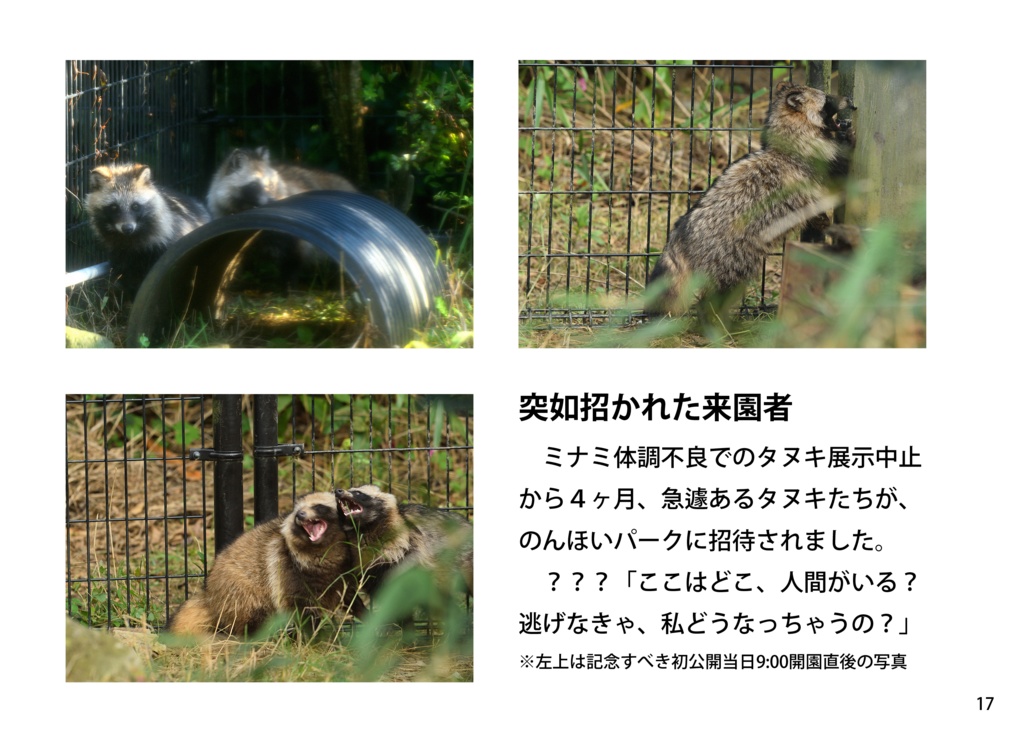 【特注対応・納期4W以内】タヌキとアナグマ未来への一歩へ