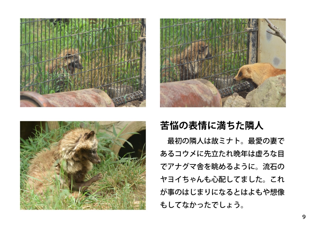 【特注対応・納期4W以内】タヌキとアナグマ未来への一歩へ