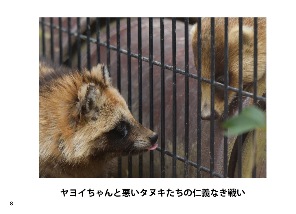 【特注対応・納期4W以内】タヌキとアナグマ未来への一歩へ