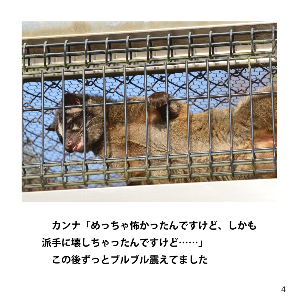 掌編動物園写真集1(あんしんBOOTHパック)