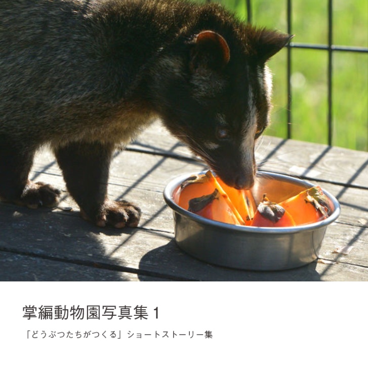 掌編動物園写真集1(あんしんBOOTHパック)