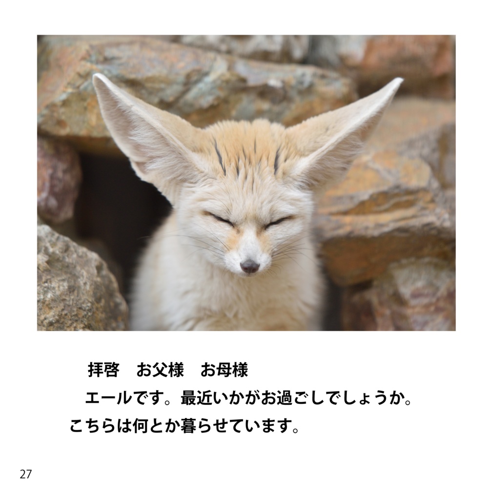 掌編動物園写真集1(あんしんBOOTHパック)