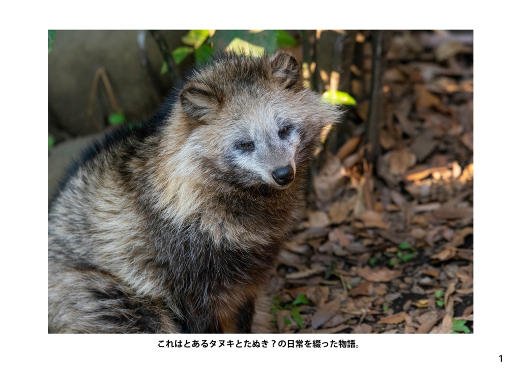 【特注対応・納期4W以内】タヌキとたぬき?