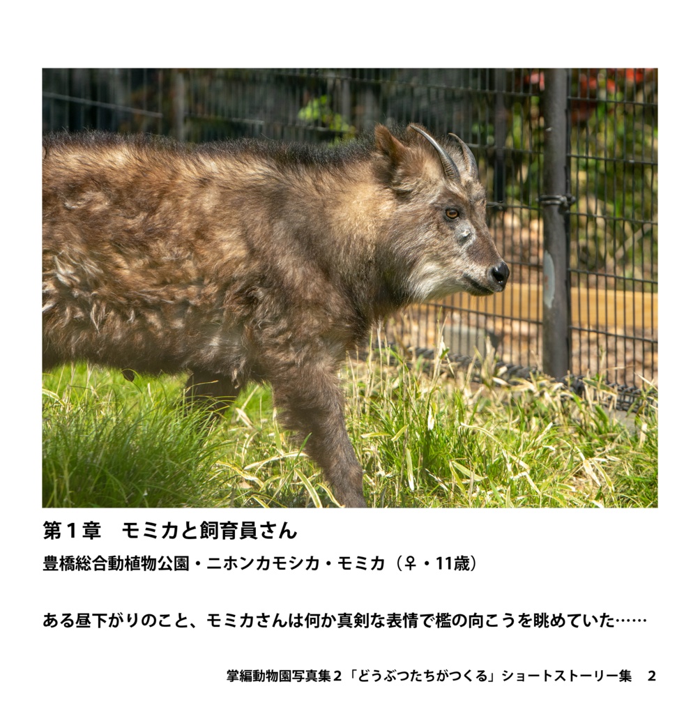 掌動物園写真集2(あんしんBOOTHパック)