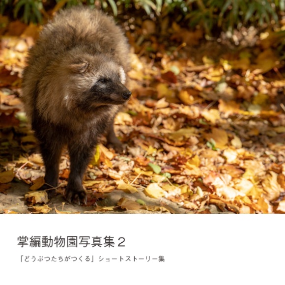 掌動物園写真集2(あんしんBOOTHパック)