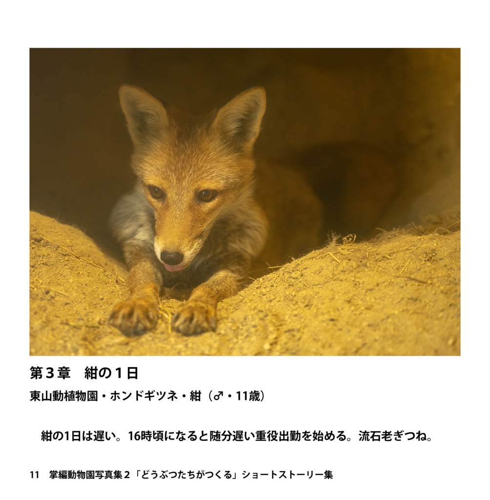 掌動物園写真集2(あんしんBOOTHパック)