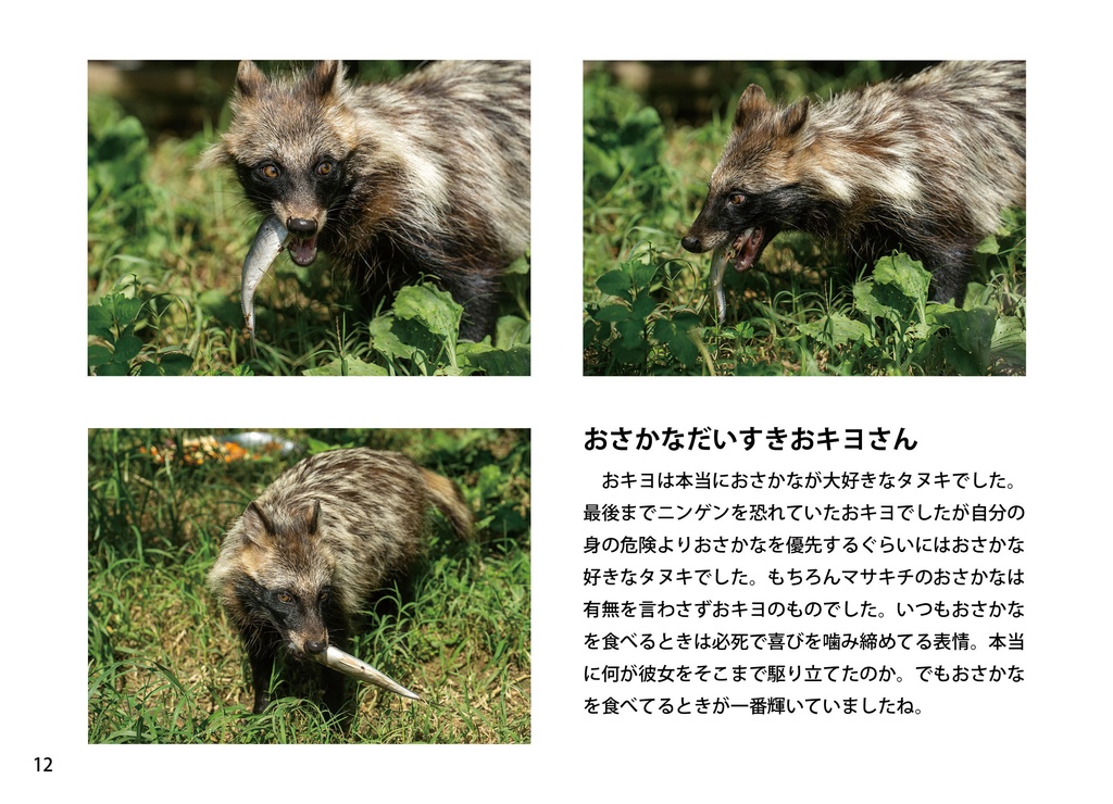 【特注対応・納期4W以内】時を駆け抜けたタヌキ