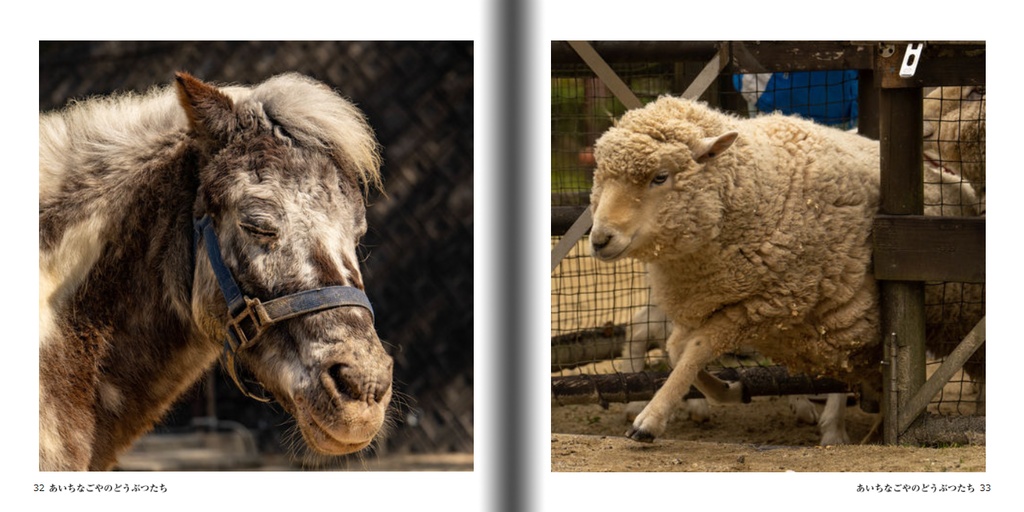 あいちなごやのどうぶつたち