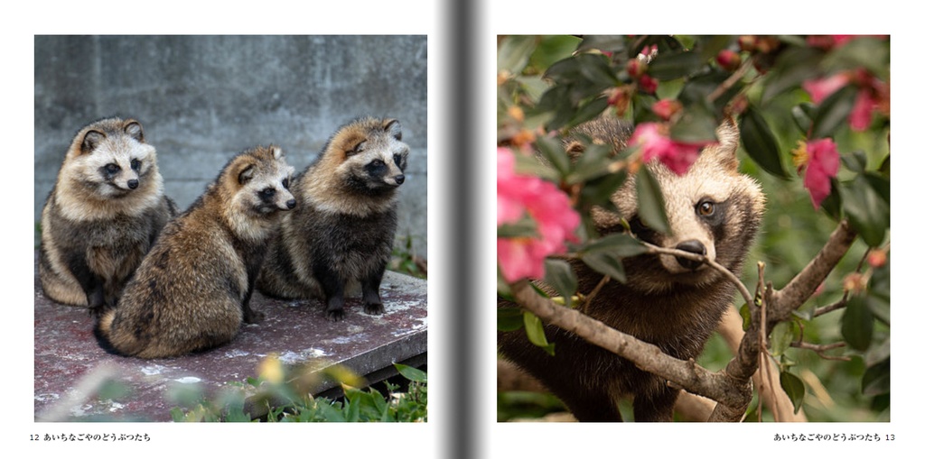 あいちなごやのどうぶつたち