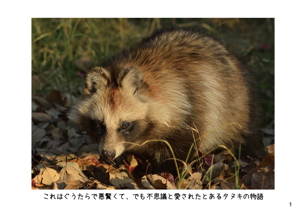 【特注対応・納期4W以内】化けタヌキのマサキチ